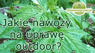 Jakie nawozy na partyzancką uprawę outdoor?