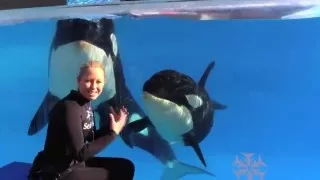 Happy Birthday, Kalia! | SeaWorld San Diego