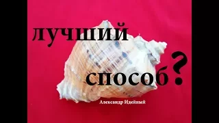 Как чистить рапаны правильно и быстро