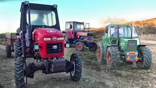 Discuim cu Fendt Favorit 612 LSA-Semănăm grâu cu UTB 650-Jinma 284 4wd