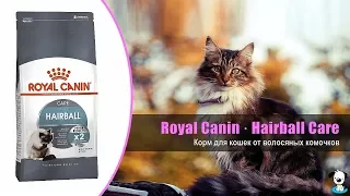 Корм для кошек от волосяных комочков · Royal Canin Hairball Care