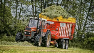 Zbiór Traw 2O21! ✔ GR Kołoszyc ☆ Zetor ZTS 14245 TURBO & Pöttinger Faro 4010 ☆ AGRO Wiesniak™