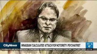 Minassian 'calculated' van attack for notoriety: psychiatrist