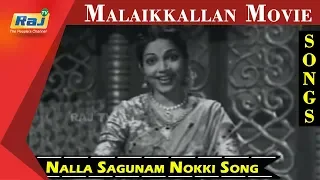 Nalla Sagunam Nokki Song | MGR | P. Bhanumathi | Malaikkallan Movie | RajTv