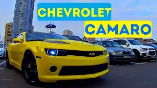 Chevrolet Camaro BUMBLEBEE - ОСМОТР АВТОМОБИЛЯ