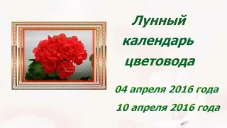 Лунный календарь 04 апреля  10 апреля 2016 года Цветочный городок