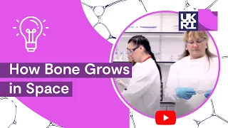 How Bone Grows in #Space: BBSRC-Supported Technology Heads to Space for #CellGrowth Experiments