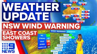 Wind warning for NSW, Rain and storms across east coast | Weather | 9 News