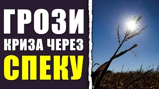 Ситуація не дуже хороша: синоптик про дощі в Україні.