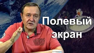 Полевый экран. Что произойдёт в сентябре 2024 года (2019-06-18)