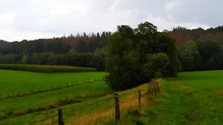 Nümbrechter Kurpark | Heilklima Wandern Route 3 | Kein Reden | Untertitel in 25 Sprachen