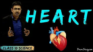 Heart |  Life Processes 2 | CBSE Class 10 Science | Toppr Study