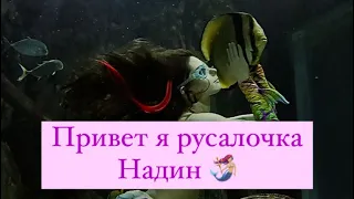 #школарусалоксочи #школарусалок #русалки #русалка #сочи