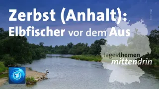 Zerbst/Anhalt: Elbfischer  vor dem Aus | tagesthemen mittendrin