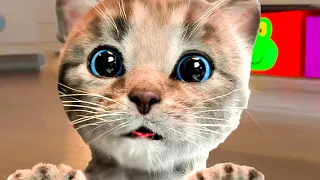 PLAYFUL LITTLE KITTEN ADVENTURE (CARTOON VIDEO) - FUNNY KITTEN ON AN ADVENTUROUS JOURNEY MEOW