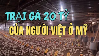 Tại Sao Người Việt Ở Mỹ Bỏ Thành Phố Vô Rừng Ở