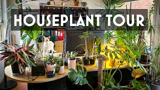 My Houseplant Collection: A Tour of my home office indoor jungle June 2023