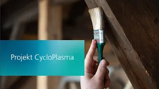 CycloPlasma – innovative Sanierung kontaminierter Holzkonstruktionen