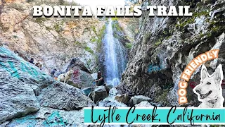 Bonita Falls Hike | Lytle Creek, California | Hiking with my German Shepherd