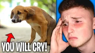 The SADDEST VIDEOS On The ENTIRE INTERNET! (You Will Cry)