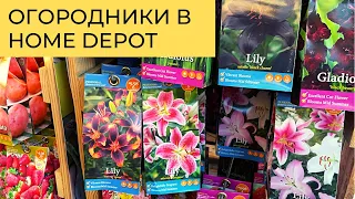 Огородники // Все для сада в Home Depot // Растения для патио в США