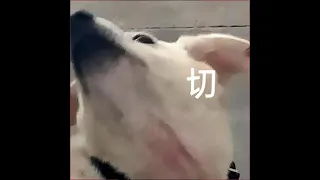 顶楼音乐