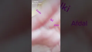 Tiktok ibel ibel