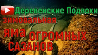 Подводная охота. Я испытал ШОК. Зимовальная яма ОГРОМНЫХ сазанов.