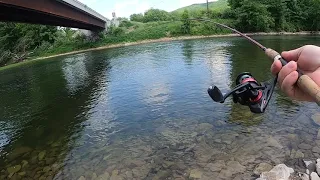 Fishing the Greenbrier river at Buckeye