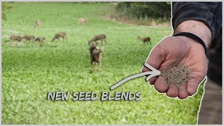 The Food Plots To Plant NOW, New Blends!