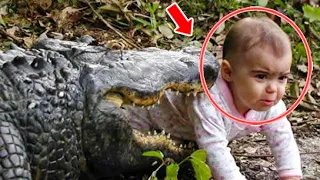 This 5-Year-old Baby Sneaked Into The Crocodiles’ Inclosure, Then People Were Shocked To See...