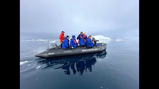 Seals, Whales, and Penguins, OH MY!