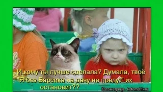 Котоматрица Приколы про кошек Выпуск 6