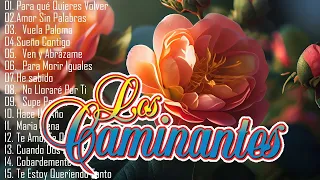 LOS CAMINANTES 30 GRANDES ÉXITOS ROMÁNTICOS - LOS CAMINANTES SUS MEJORES CANCIONES