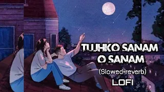 Tujhko Sanam oo Sanam lofi song #lofimusic #lovesong