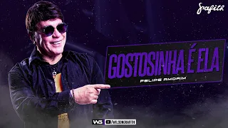 Banda Grafith - Gostosinha é Ela (Felipe Amorim) | Promo 2022.3