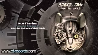 Space Cat - Transformer (Space Cat, Black & White Remix)[ALLDCD002]