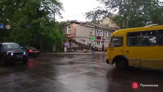В центре Одессе ветер повалил огромное дерево, 3.07.2019