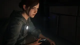 Vengeance || The Last of Us Part II