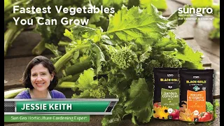 The 10 Fastest Growing Vegetables for Instant Gratification with Black Gold®
