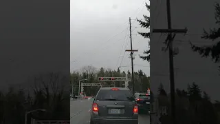 Railroad crossing gate closed rainy day waiting to open crossing gate#shorts #AutomatedLevelCrossing