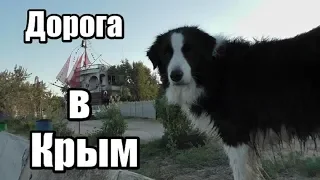 Дорога в Крым на машине. Как мы ехали в Крым на машине с собаками.