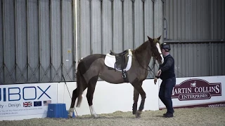 Horse refusing to stand at mounting block meets Richard Maxwell | Your Horse