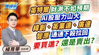 2024.01.26【英特爾財測不如預期  AI股壓力山大  緯創、英業達、廣達  智原通通下殺拉回  要買進?還是賣出?】#楊育華 #股市御錢術