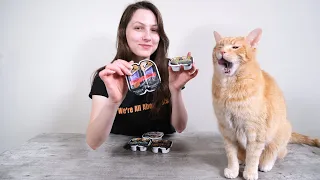 Sheba Cat Food Review (Analysis and Taste Test)