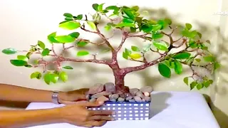 DIY:How to make an artificial tree. Hand made