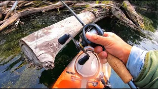 Sad Kayak Tournament, Full Kayak Tour and a Fall Jig Bite