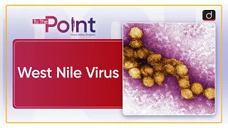 West Nile Virus |To the Point| Drishti IAS English