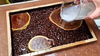 Coffee Table Wall-E / Bog Oak and Acacia Transformer with Epoxy Resin