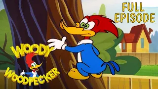 Woody's Tree | Full Episode | Woody Woodpecker